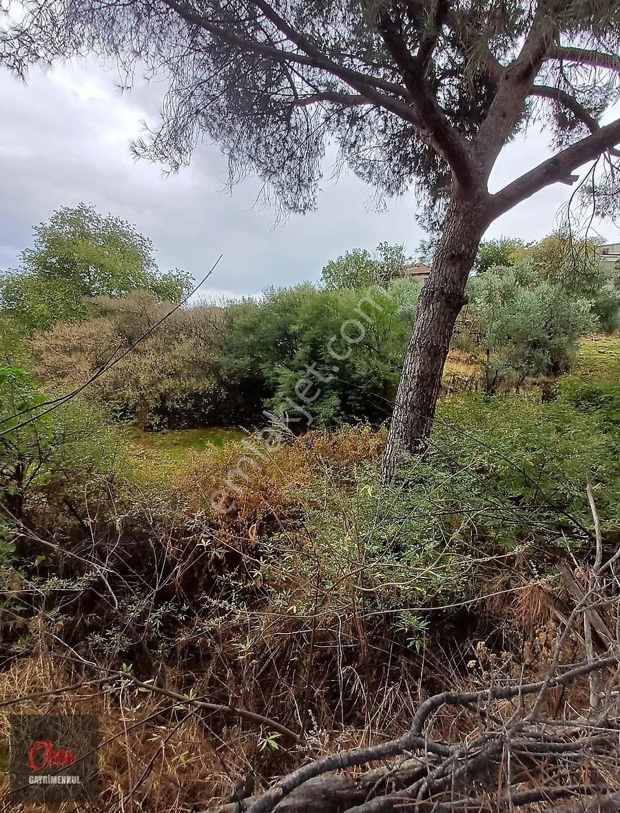 Aydın İl Merkezine 12 Km Mesafede, Köycivarı İmara Bitişik 298m2 - Görsel 2