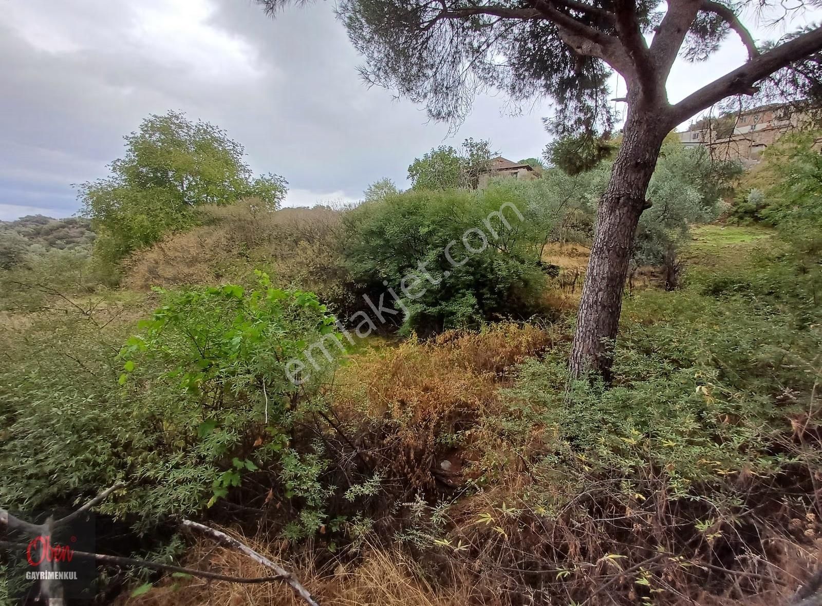 Aydın İl Merkezine 12 Km Mesafede, Köycivarı İmara Bitişik 298m2 - Görsel 6