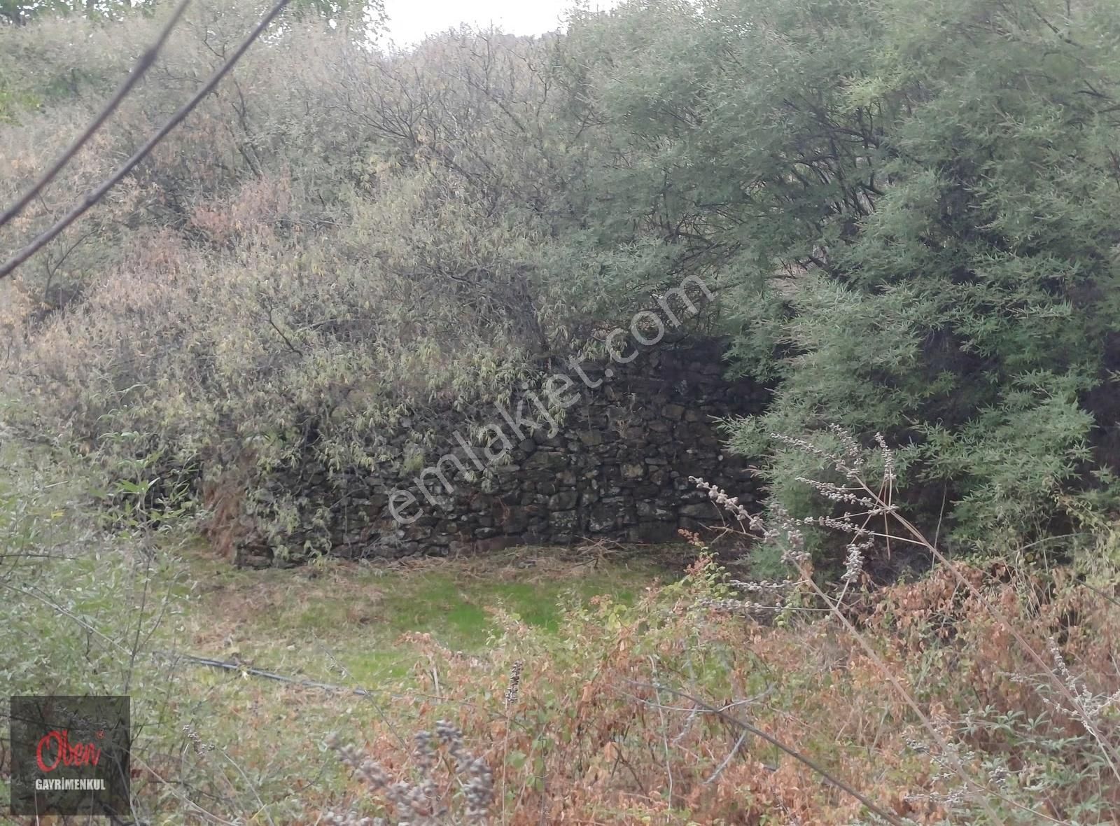 Aydın İl Merkezine 12 Km Mesafede, Köycivarı İmara Bitişik 298m2 - Görsel 11