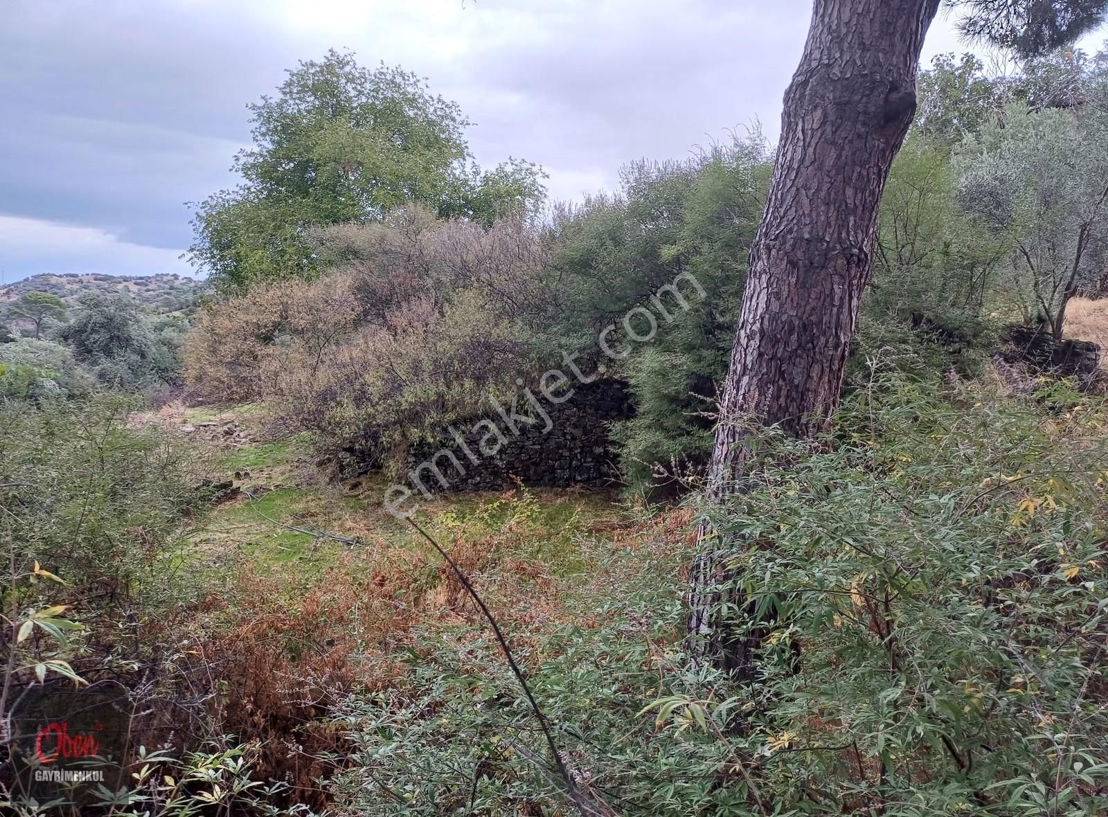 Aydın İl Merkezine 12 Km Mesafede, Köycivarı İmara Bitişik 298m2 - Görsel 4