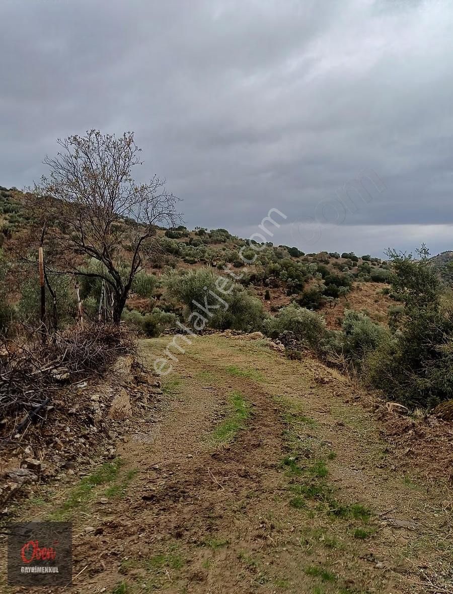 Aydın İl Merkezine 12 Km Mesafede, Köycivarı İmara Bitişik 298m2 - Görsel 3
