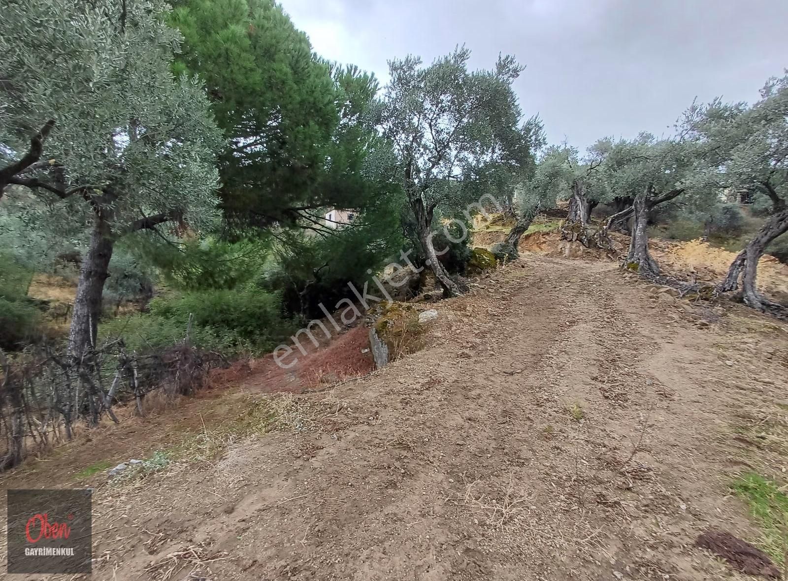 Aydın İl Merkezine 12 Km Mesafede, Köycivarı İmara Bitişik 298m2 - Görsel 8
