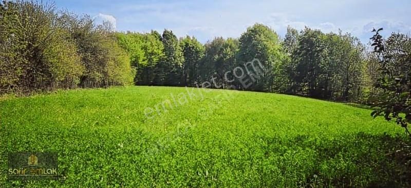 Safir Gayrimenkul Danışmanlık