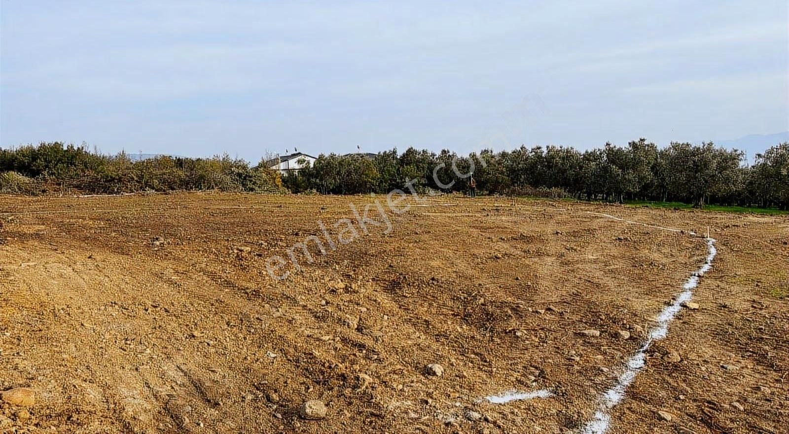 Hayırla Geldiniz Yeniköy De 375 M2 Villa İmarlı Satılık Arsa