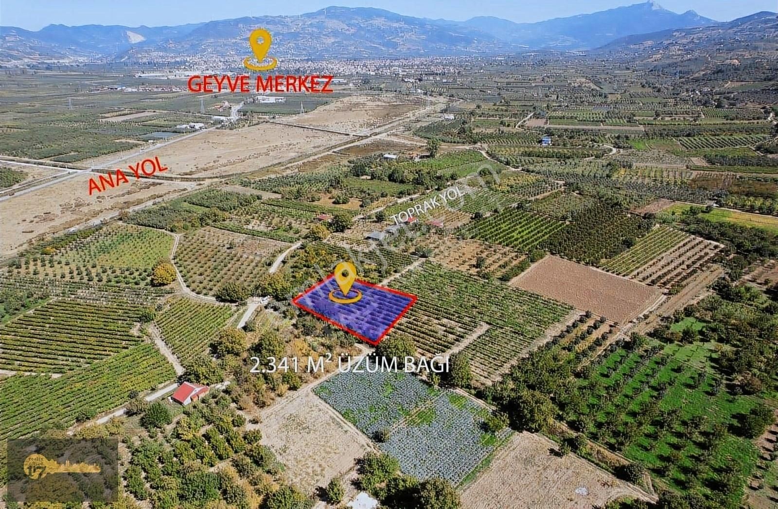 Sakarya Geyve 2.341 M2 Üzüm Bağı - Görsel 2