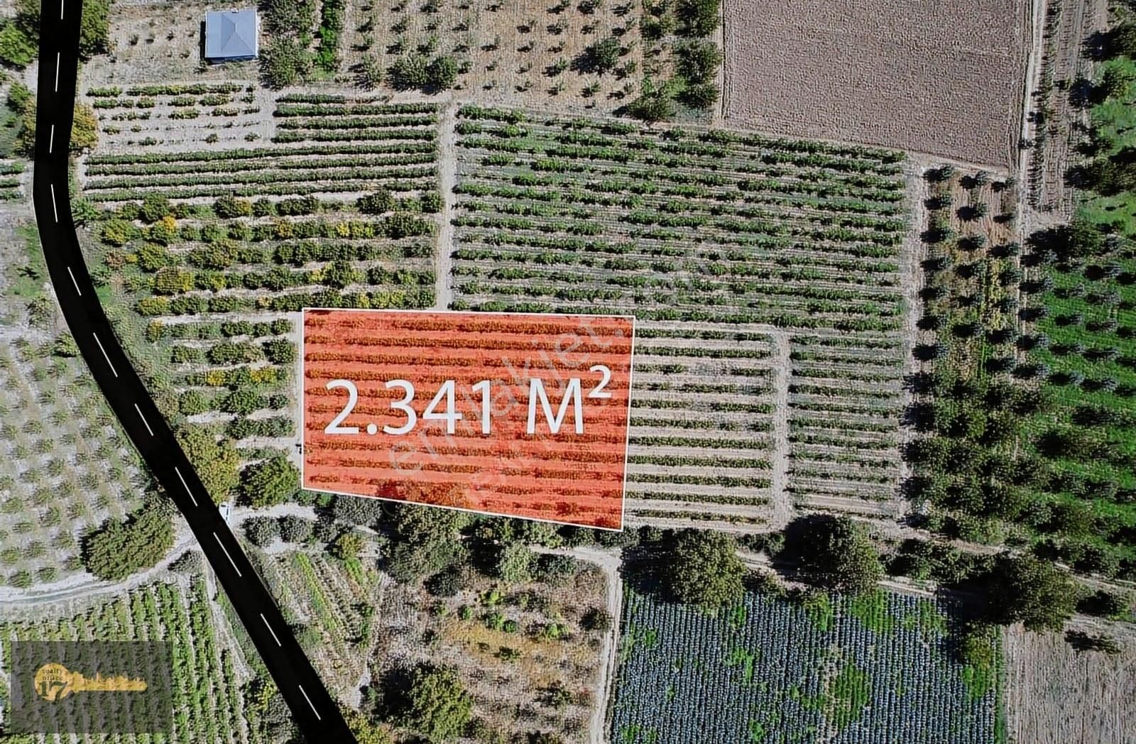 Sakarya Geyve 2.341 M2 Üzüm Bağı - Görsel 9