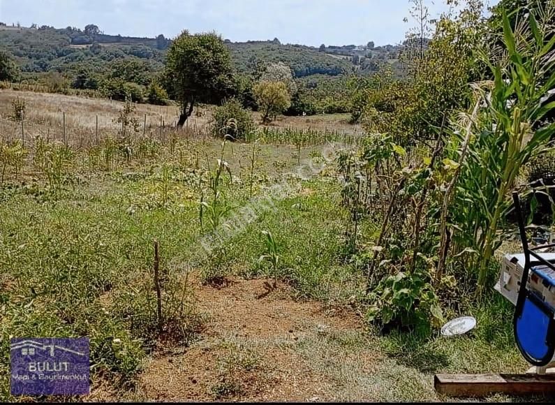 Bulut Emlak Güvencesiyle.hobi Bahçeniz Hazır 1.286m2 Suyu Mevcut - Görsel 4