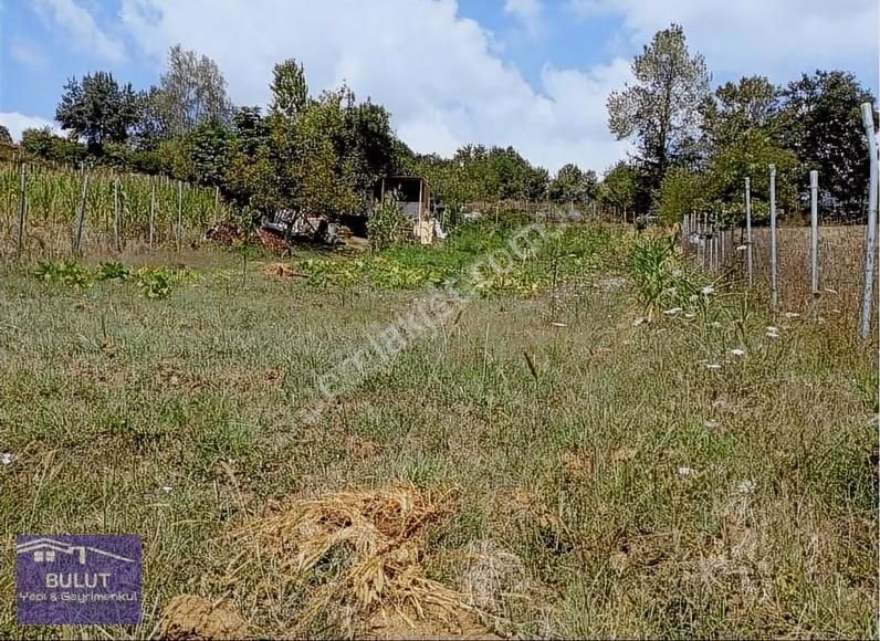 Bulut Emlak Güvencesiyle.hobi Bahçeniz Hazır 1.286m2 Suyu Mevcut - Görsel 3