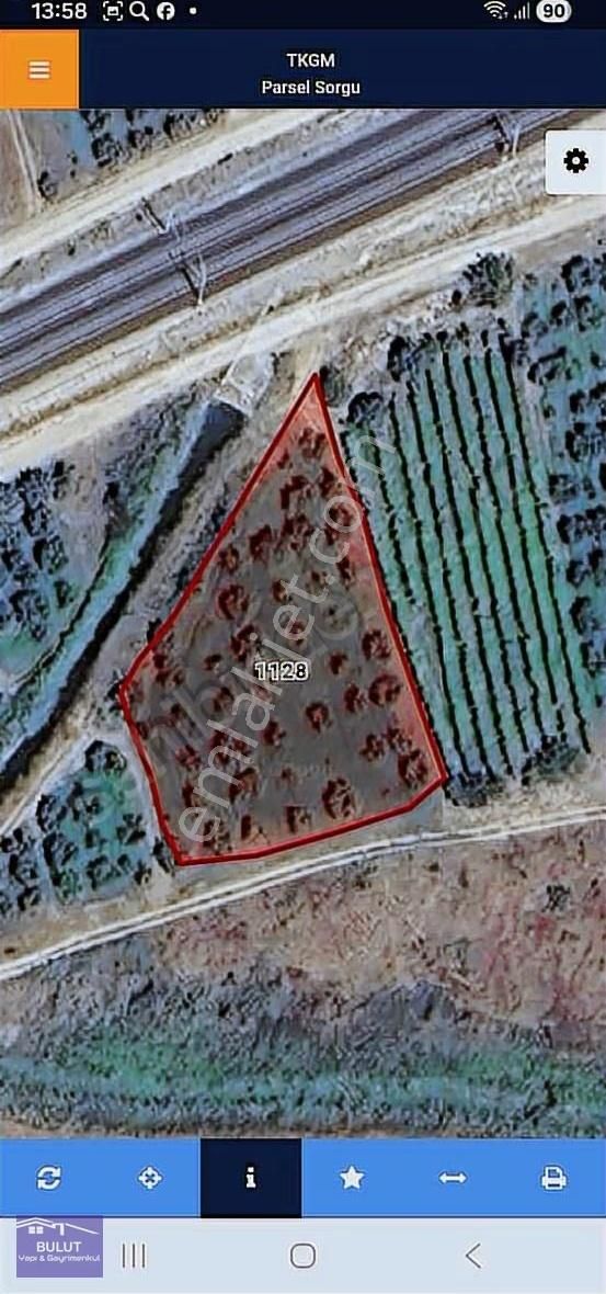 Pamukova Bacı Köy 1.850m2 Yolu Suyu Mevcut Ayva Bahçesi... - Görsel 5