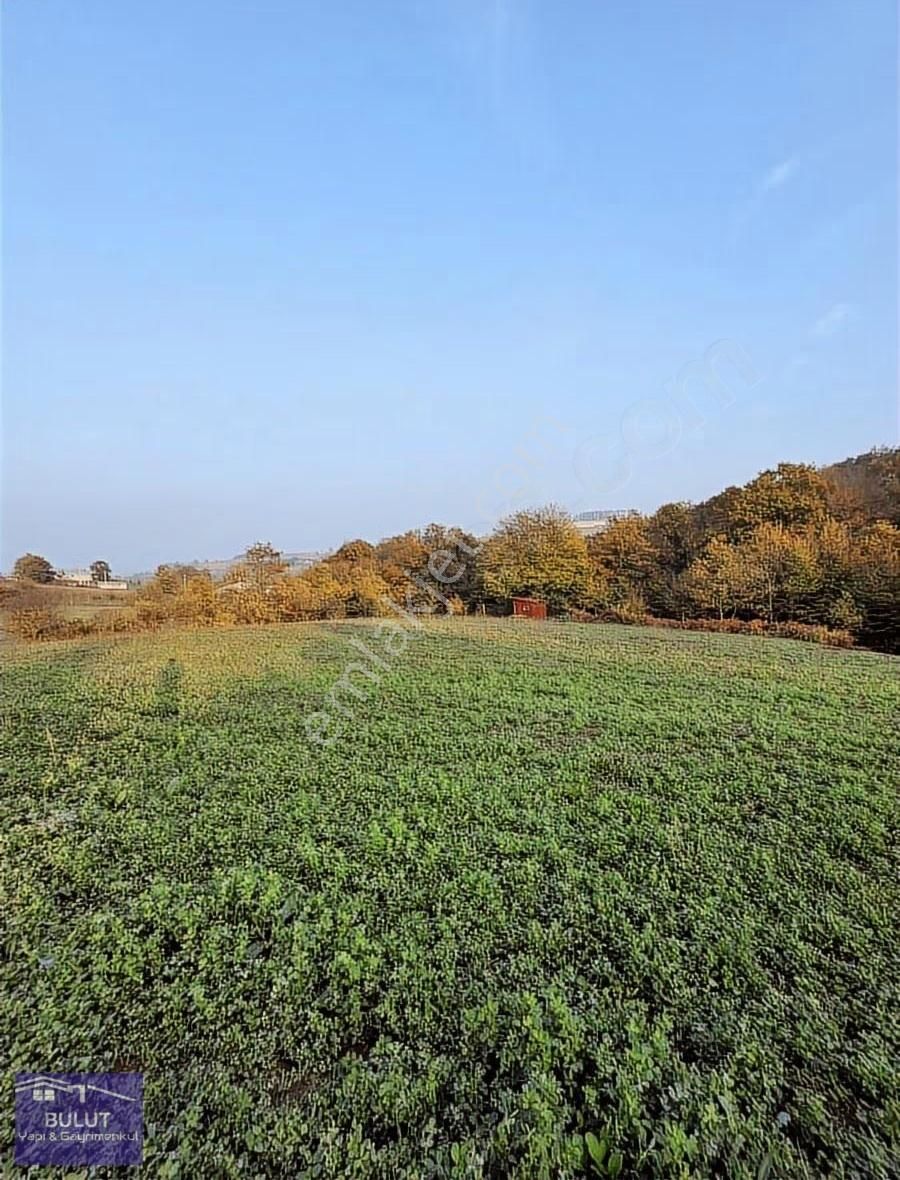 Hükümdar Bulut'tan Kıymetli Yatırım 1.704m2 Tarla.köye Yakın... - Görsel 2