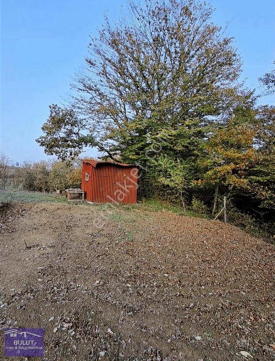 Hükümdar Bulut'tan Kıymetli Yatırım 1.704m2 Tarla.köye Yakın...