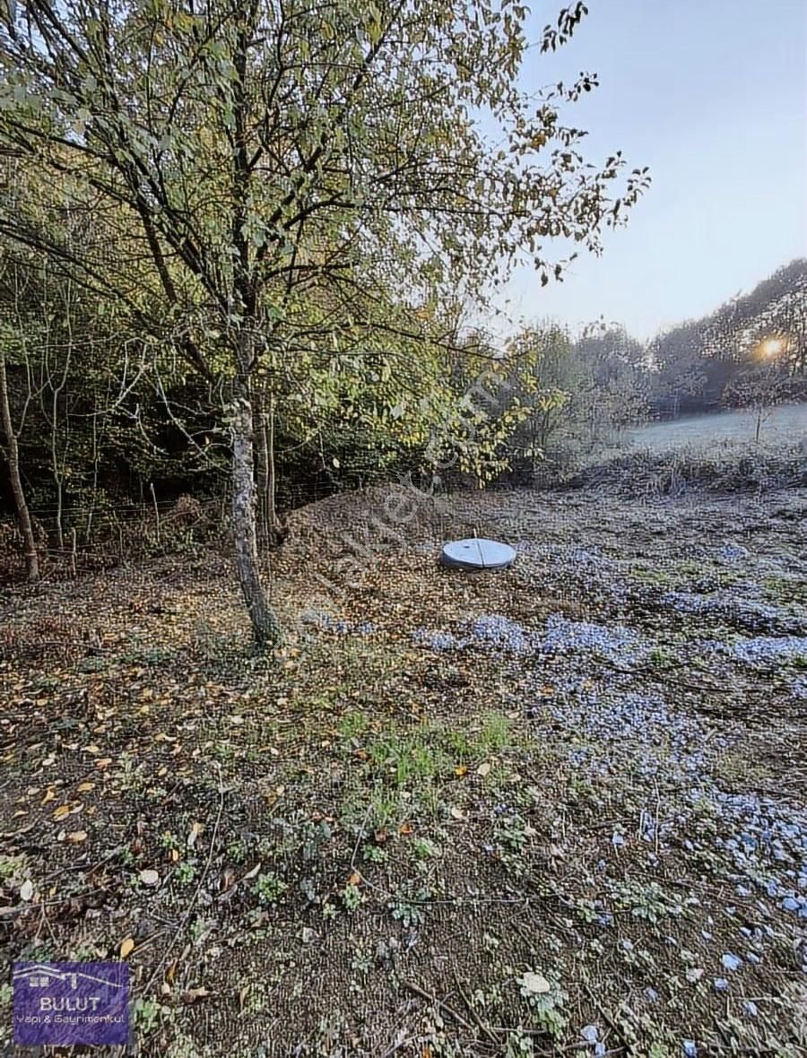 Hükümdar Bulut'tan Kıymetli Yatırım 1.704m2 Tarla.köye Yakın... - Görsel 3