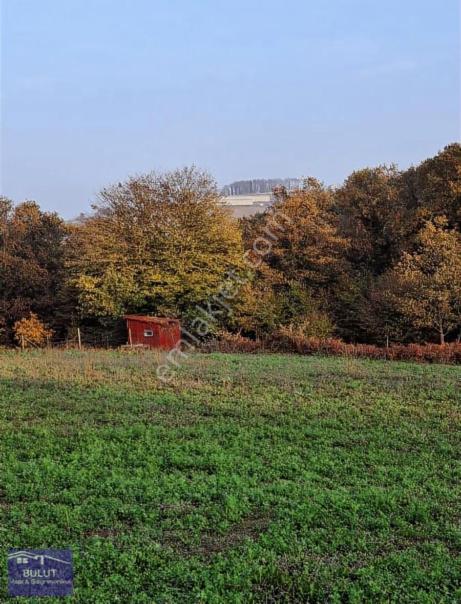Hükümdar Bulut'tan Kıymetli Yatırım 1.704m2 Tarla.köye Yakın... - Görsel 22