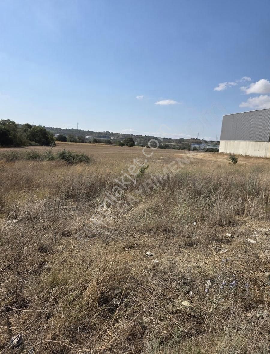 2025 Yılın Son Fırsatı Sanayi Arsası - Görsel 15