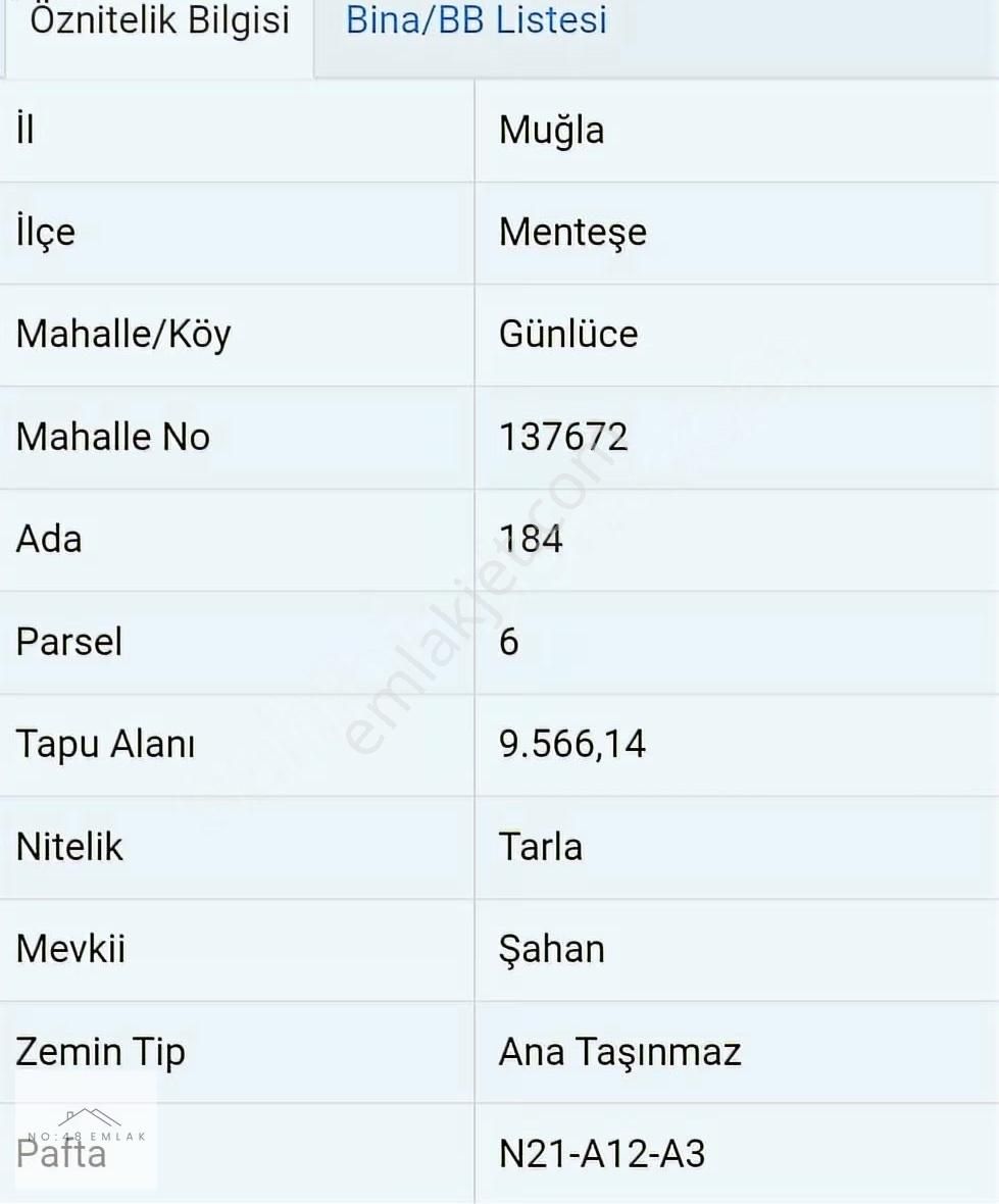 Muğla Menteşe Fırsat Tarla 12 Dönüm - Görsel 2