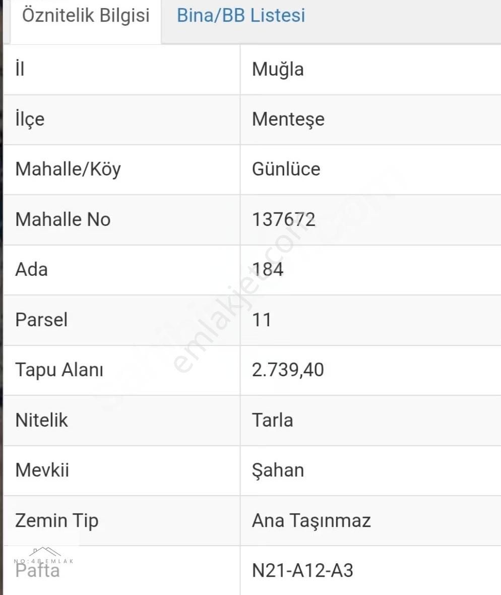 Muğla Menteşe Fırsat Tarla 12 Dönüm - Görsel 3