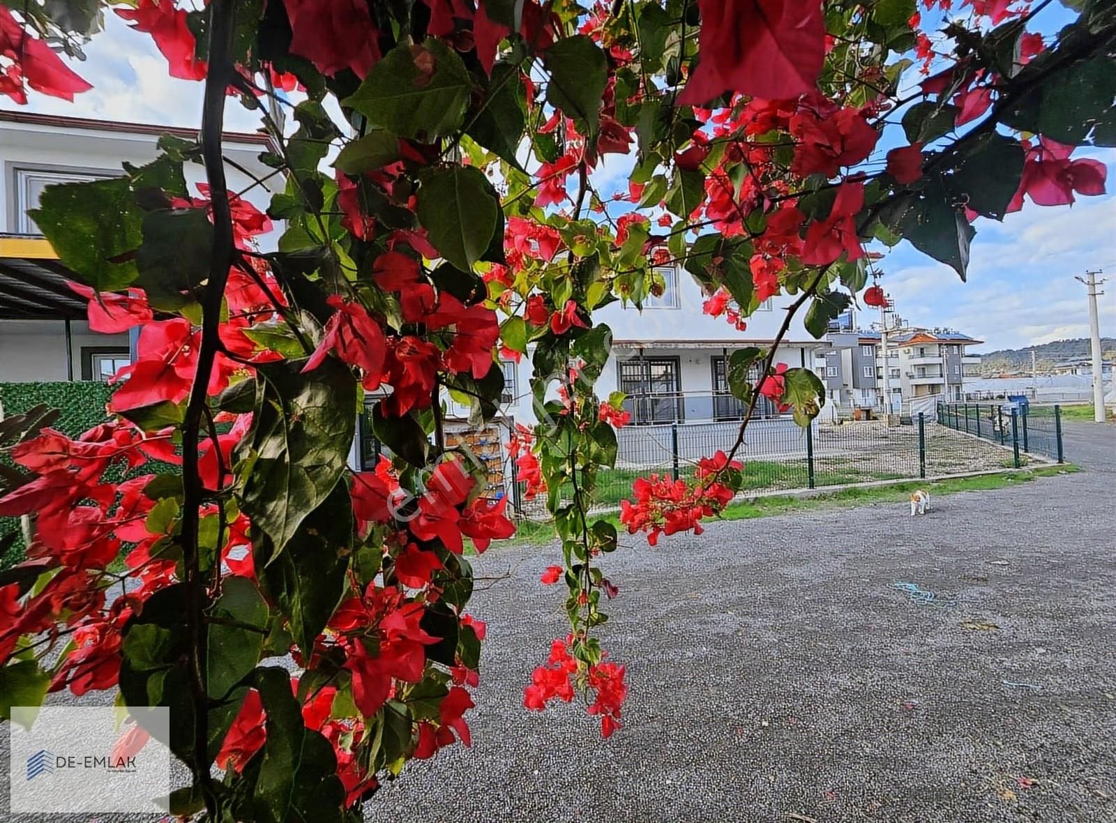 Ortaca Da Müstakil Tadında 2+1 Kiralık Daire