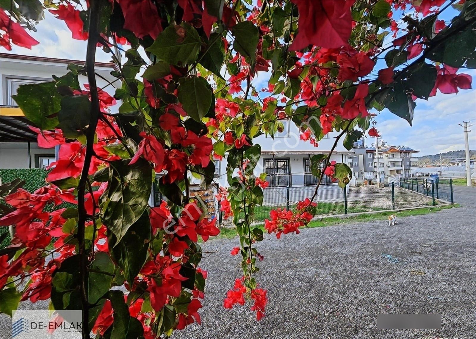 Ortaca Da Müstakil Tadında 2+1 Kiralık Daire