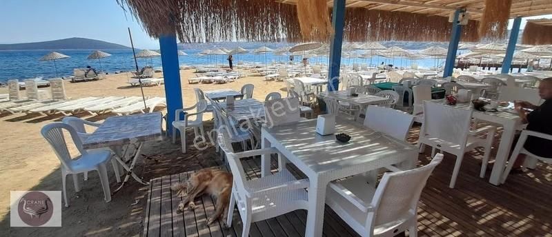 Gündoğan Plajlı Sitede Bakımlı Full Manzaralı 3+1 - Görsel 13