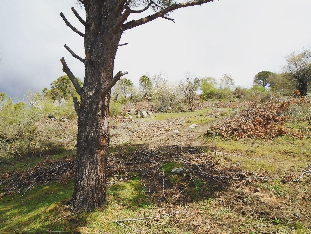 Satılık Müstakiltapu - Görsel 11