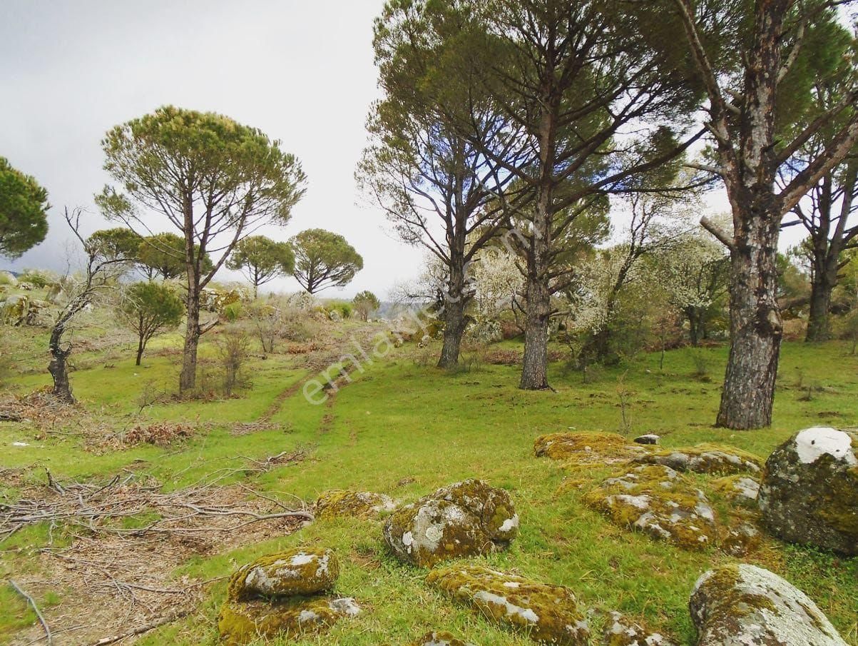 Satılık Müstakiltapu - Görsel 5