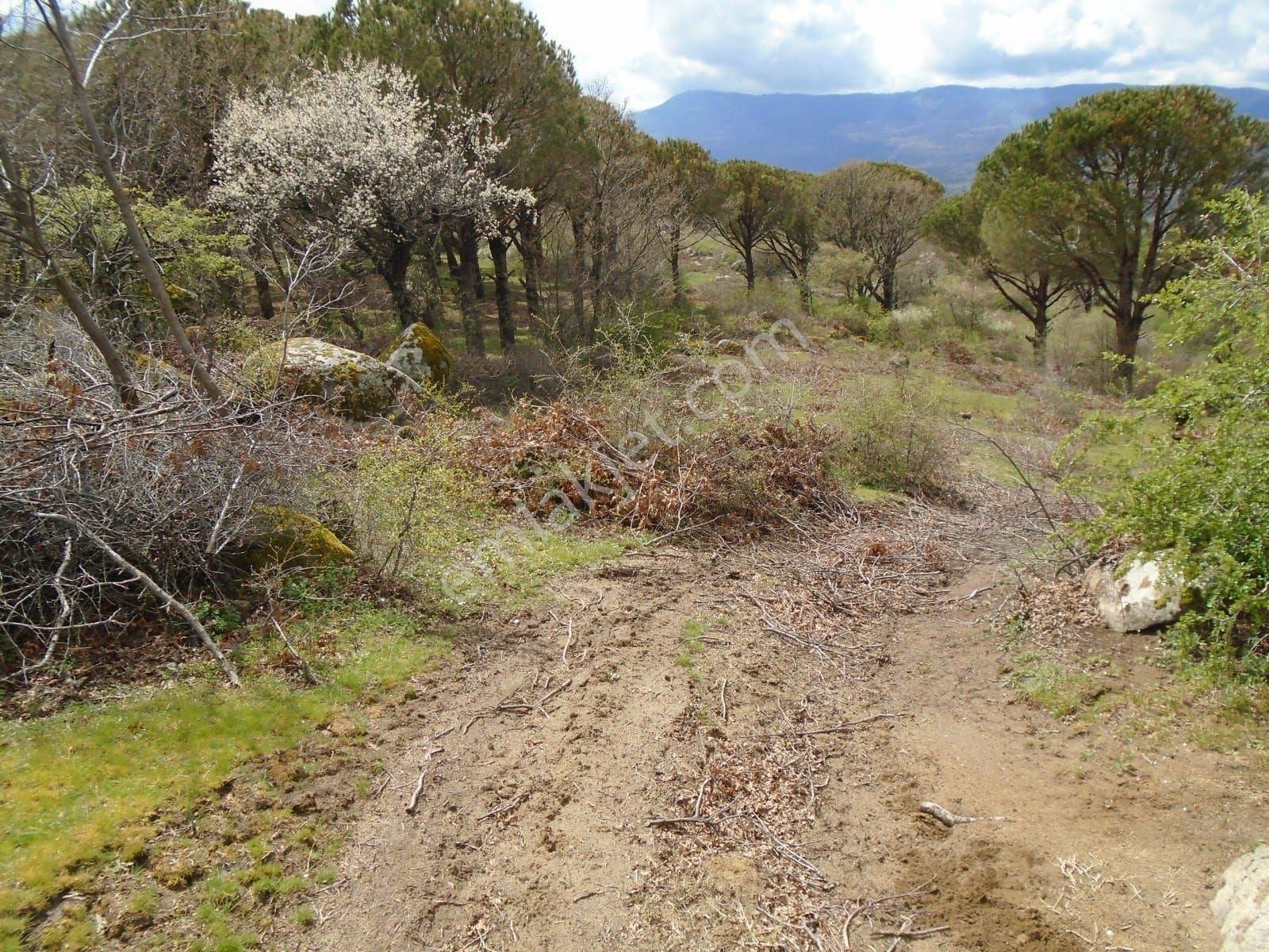 Satılık Müstakiltapu - Görsel 8