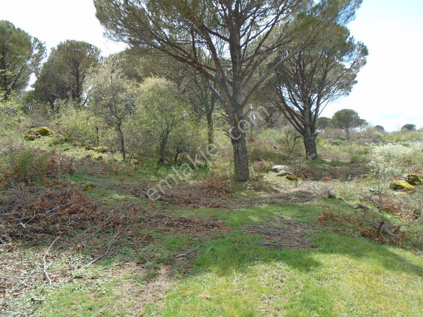 Satılık Müstakiltapu - Görsel 7