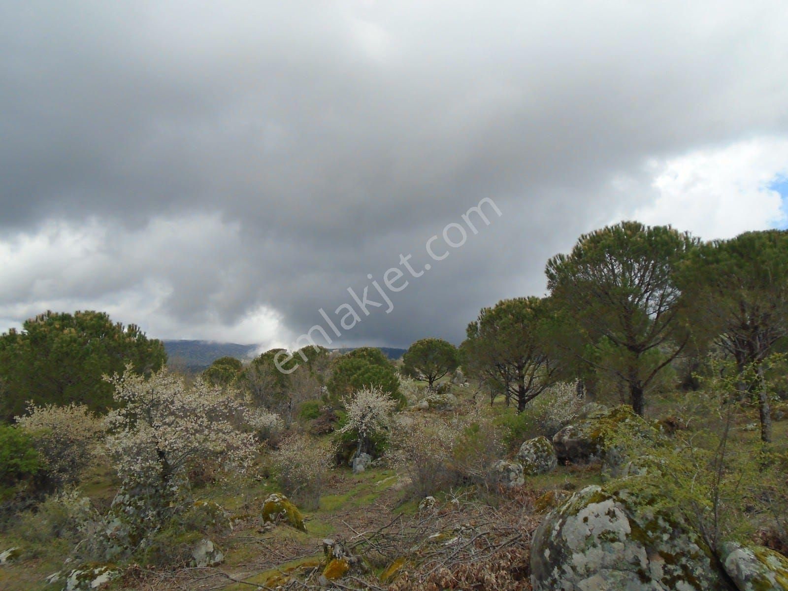 Satılık Müstakiltapu - Görsel 10