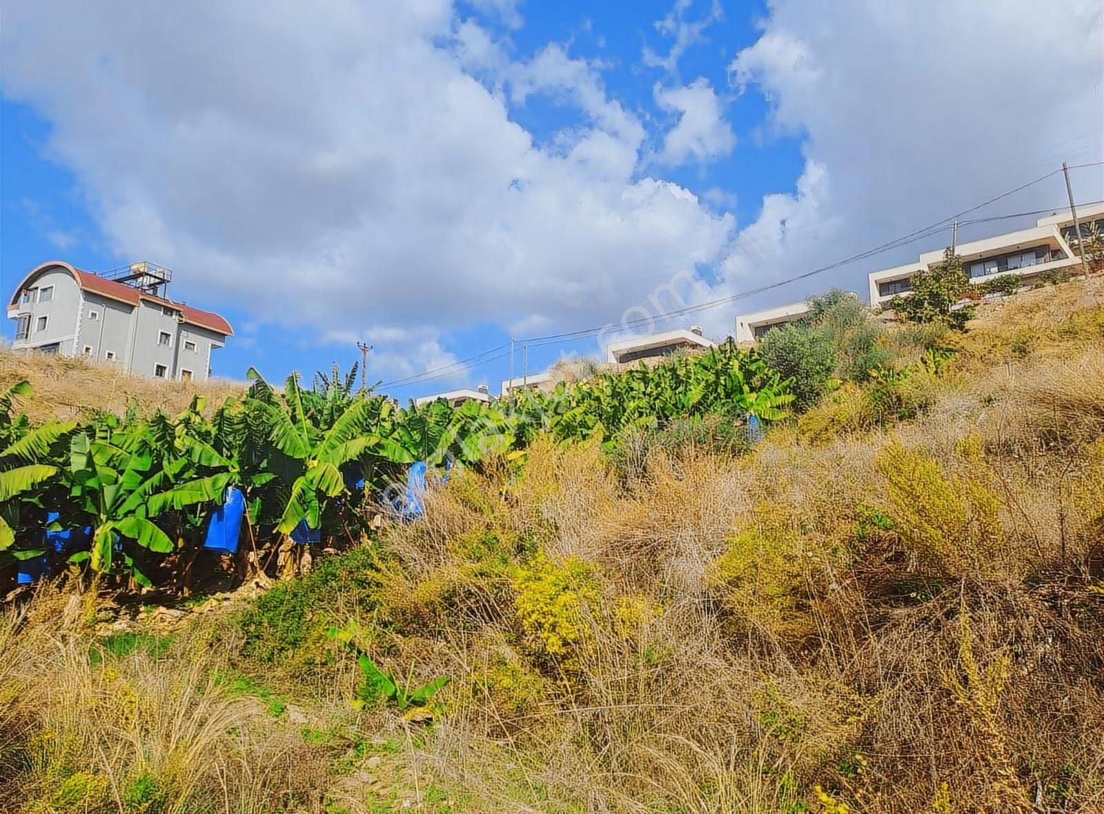 Antalya Alanya Kargıcak Ta Satılık Ticari Arsa 1594 M Detaylı - Görsel 13