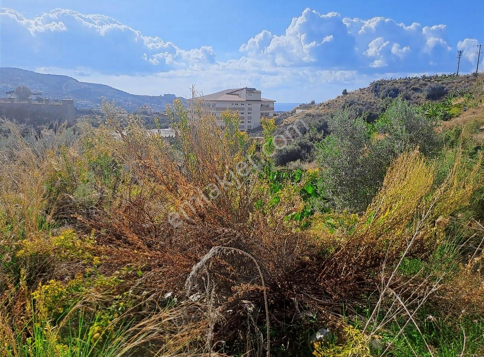 Antalya Alanya Kargıcak Ta Satılık Ticari Arsa 1594 M Detaylı - Görsel 20