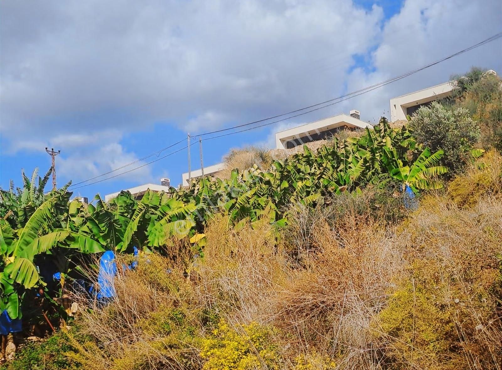 Antalya Alanya Kargıcak Ta Satılık Ticari Arsa 1594 M Detaylı - Görsel 9
