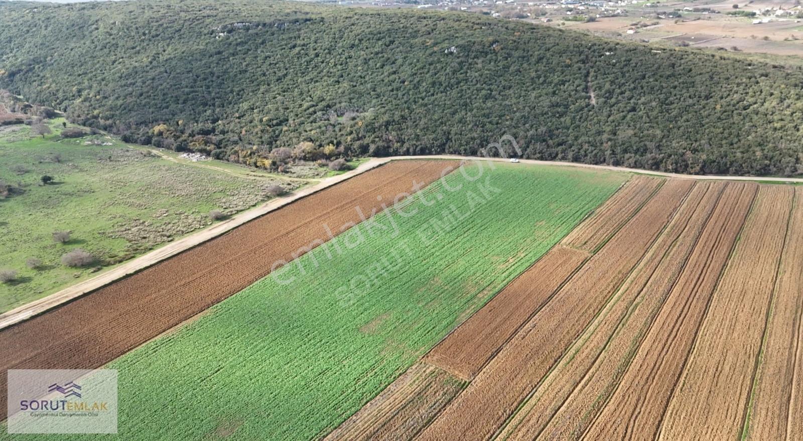 Edirne Keşan Mecidiye Denize Yakın 582 M² Satılık Parsel - Görsel 5