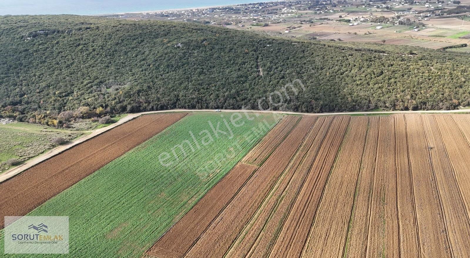 Edirne Keşan Mecidiye Denize Yakın 582 M² Satılık Parsel - Görsel 16