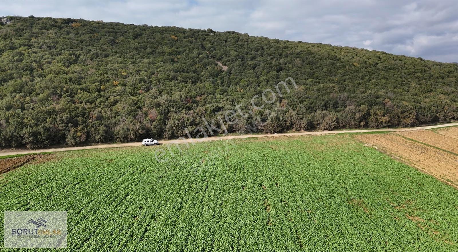 Edirne Keşan Mecidiye Denize Yakın 582 M² Satılık Parsel - Görsel 15