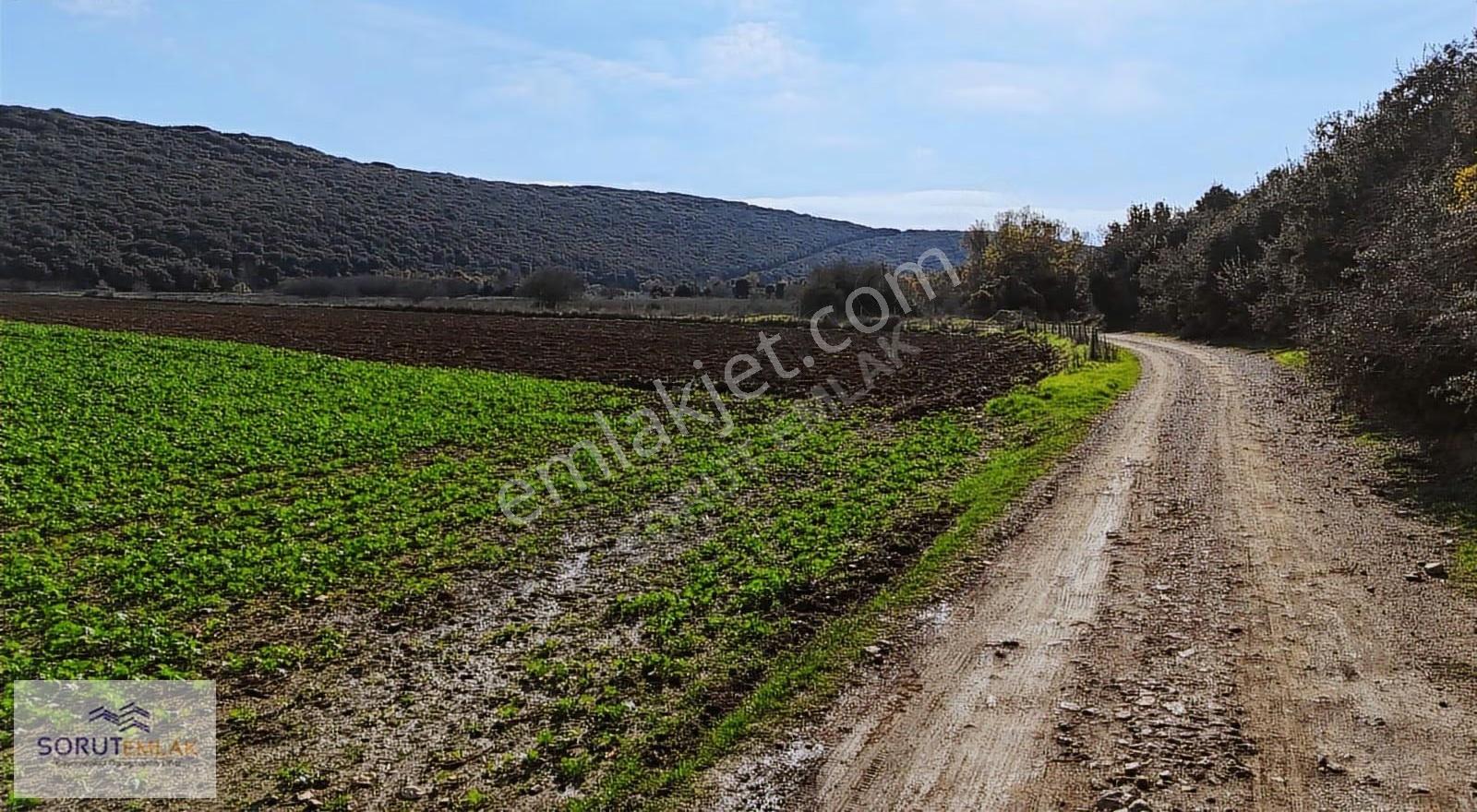 Edirne Keşan Mecidiye Denize Yakın 582 M² Satılık Parsel - Görsel 22
