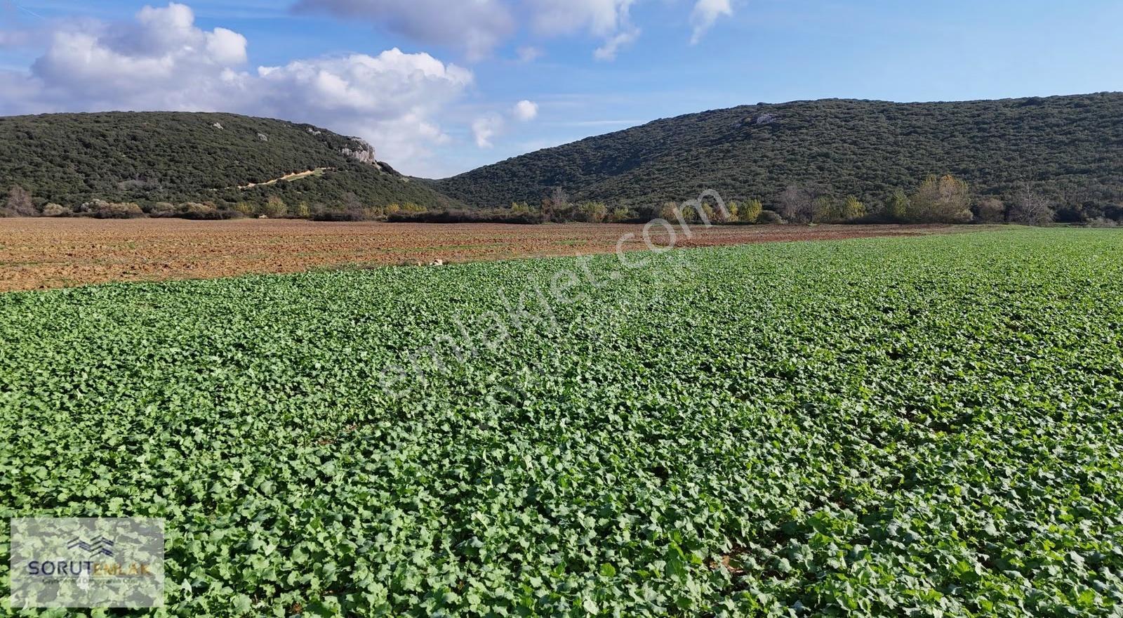 Edirne Keşan Mecidiye Denize Yakın 582 M² Satılık Parsel - Görsel 4