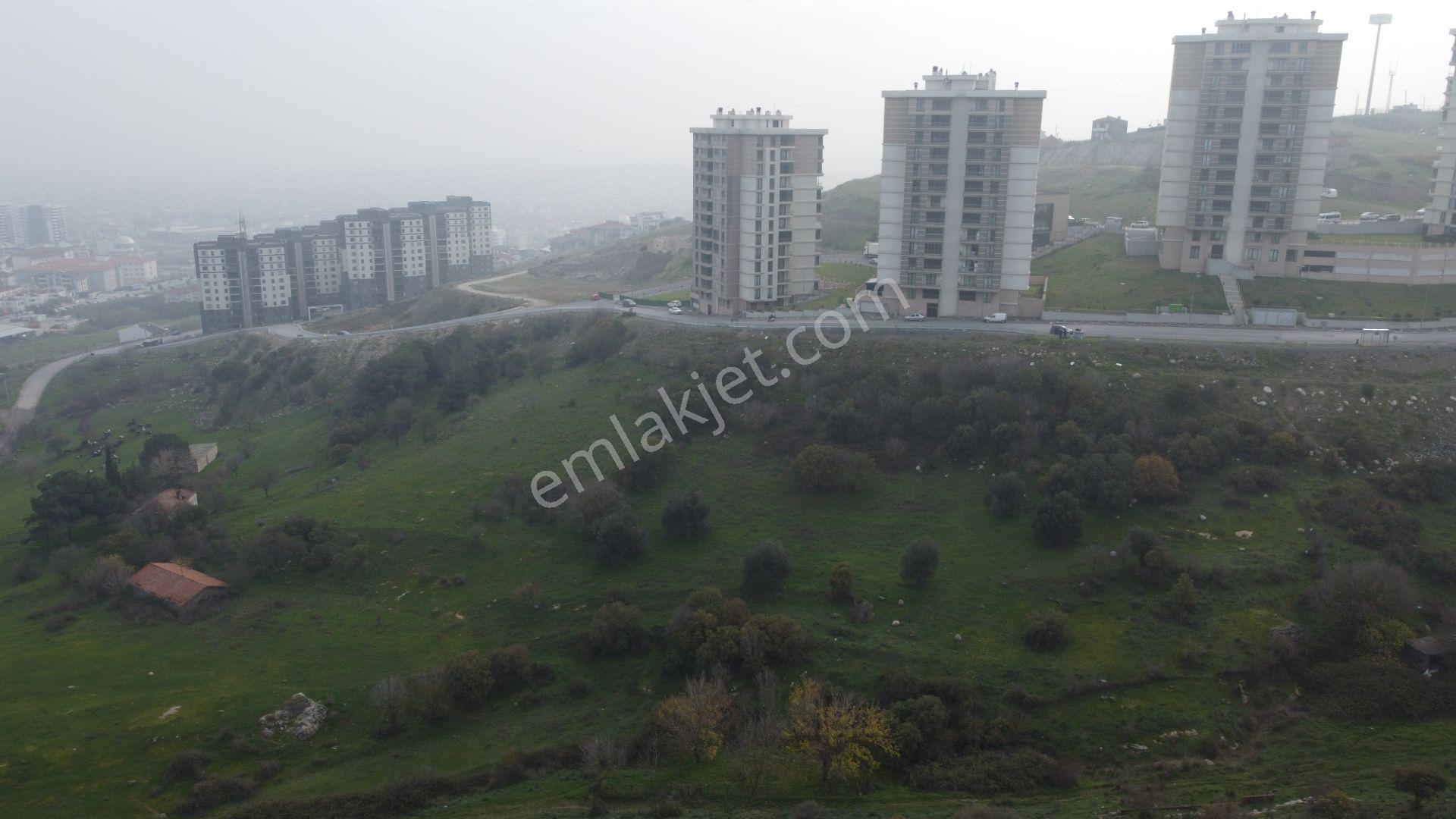 Cb King'den 2.sakarya Mahallesi Satılık Konut İmarlı Arsa - Görsel 4