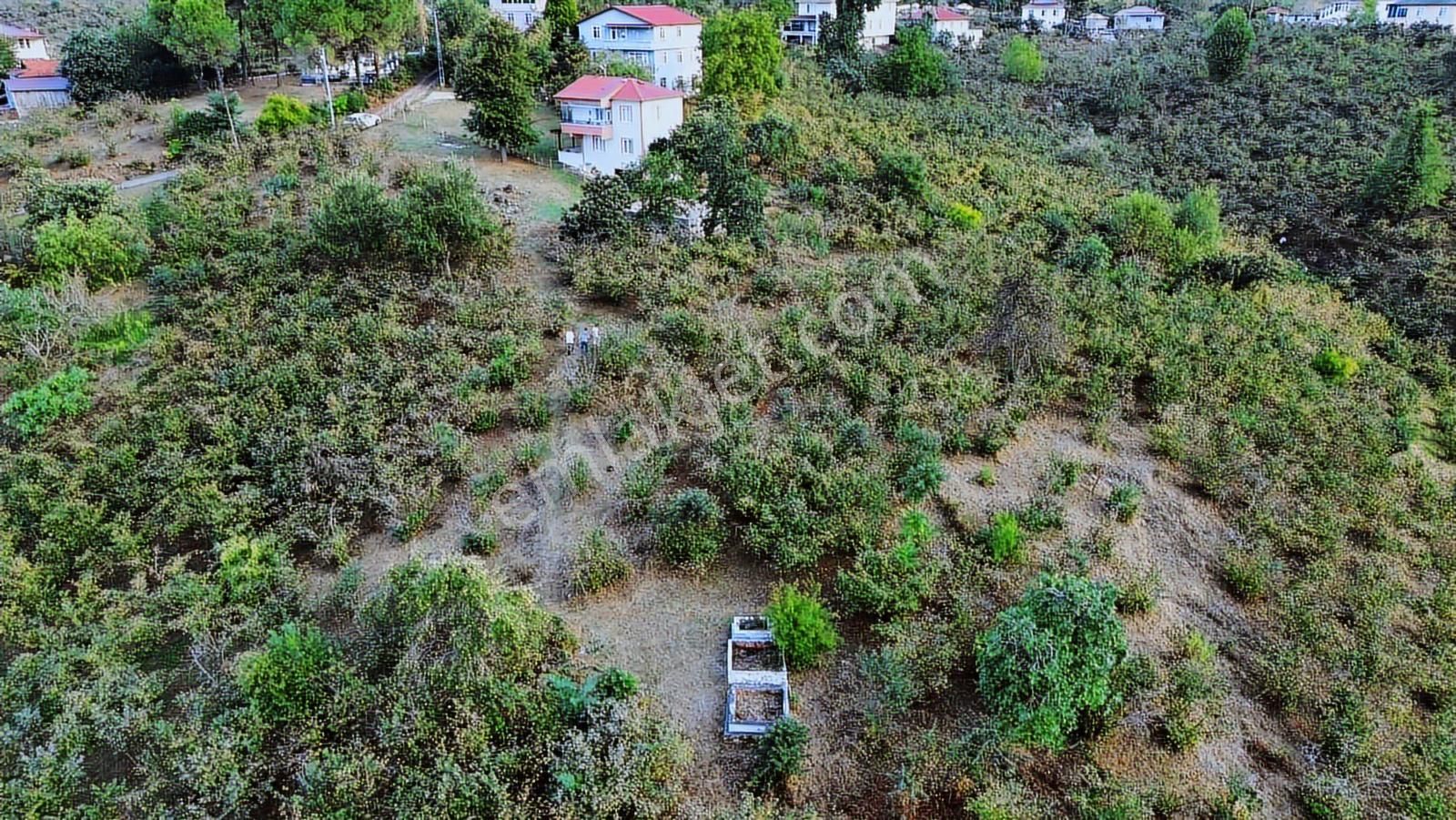 Ulu'dan Ordu Perşembe Efirlide Deniz Manzaralı Satılık Bahçe - Görsel 2