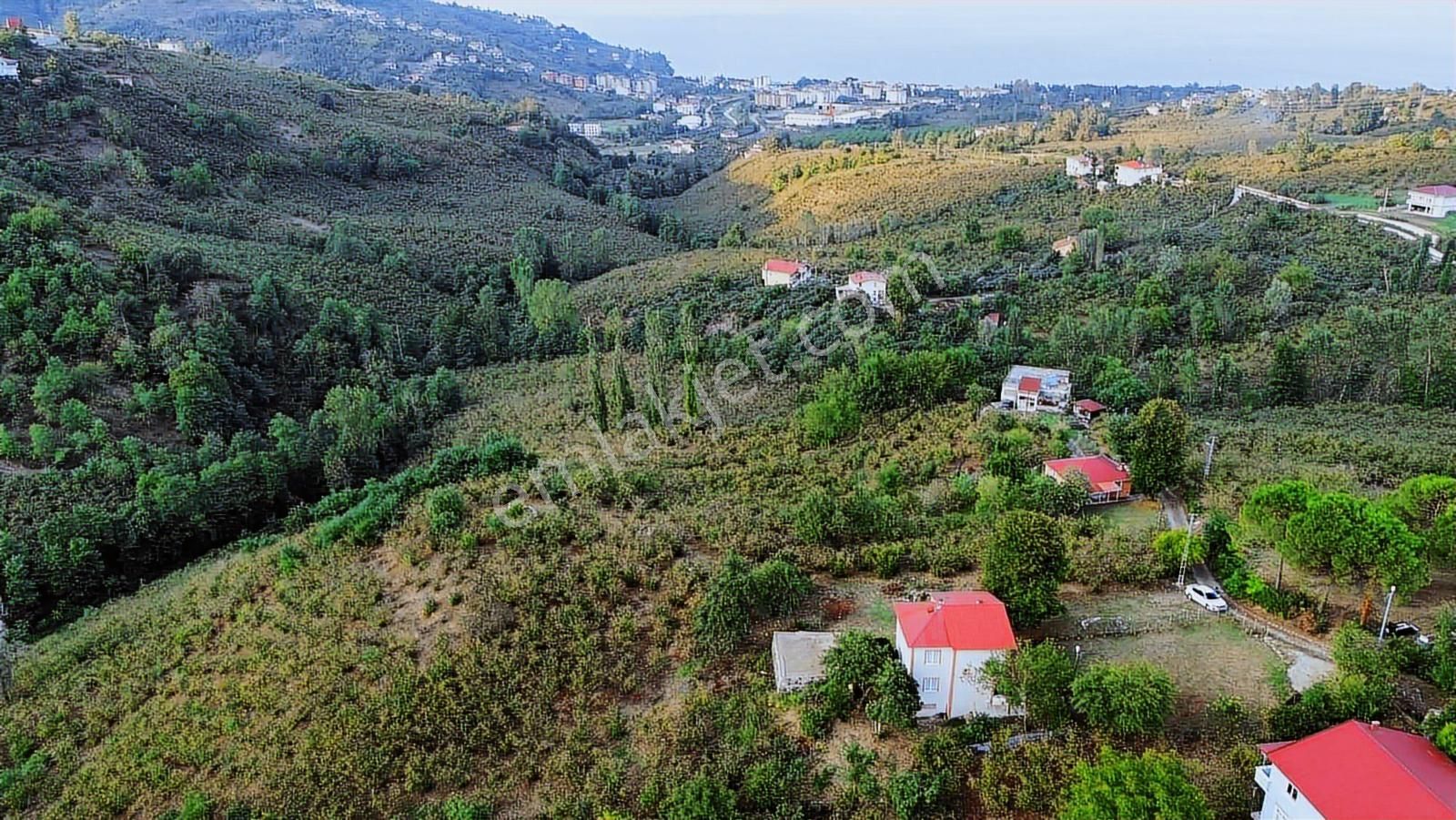 Ulu'dan Ordu Perşembe Efirlide Deniz Manzaralı Satılık Bahçe - Görsel 28