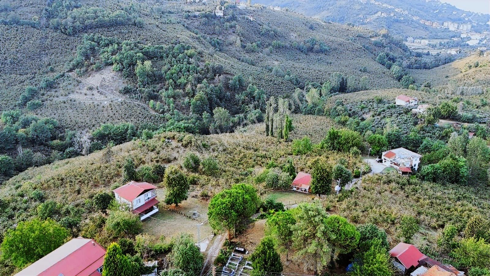 Ulu'dan Ordu Perşembe Efirlide Deniz Manzaralı Satılık Bahçe - Görsel 33
