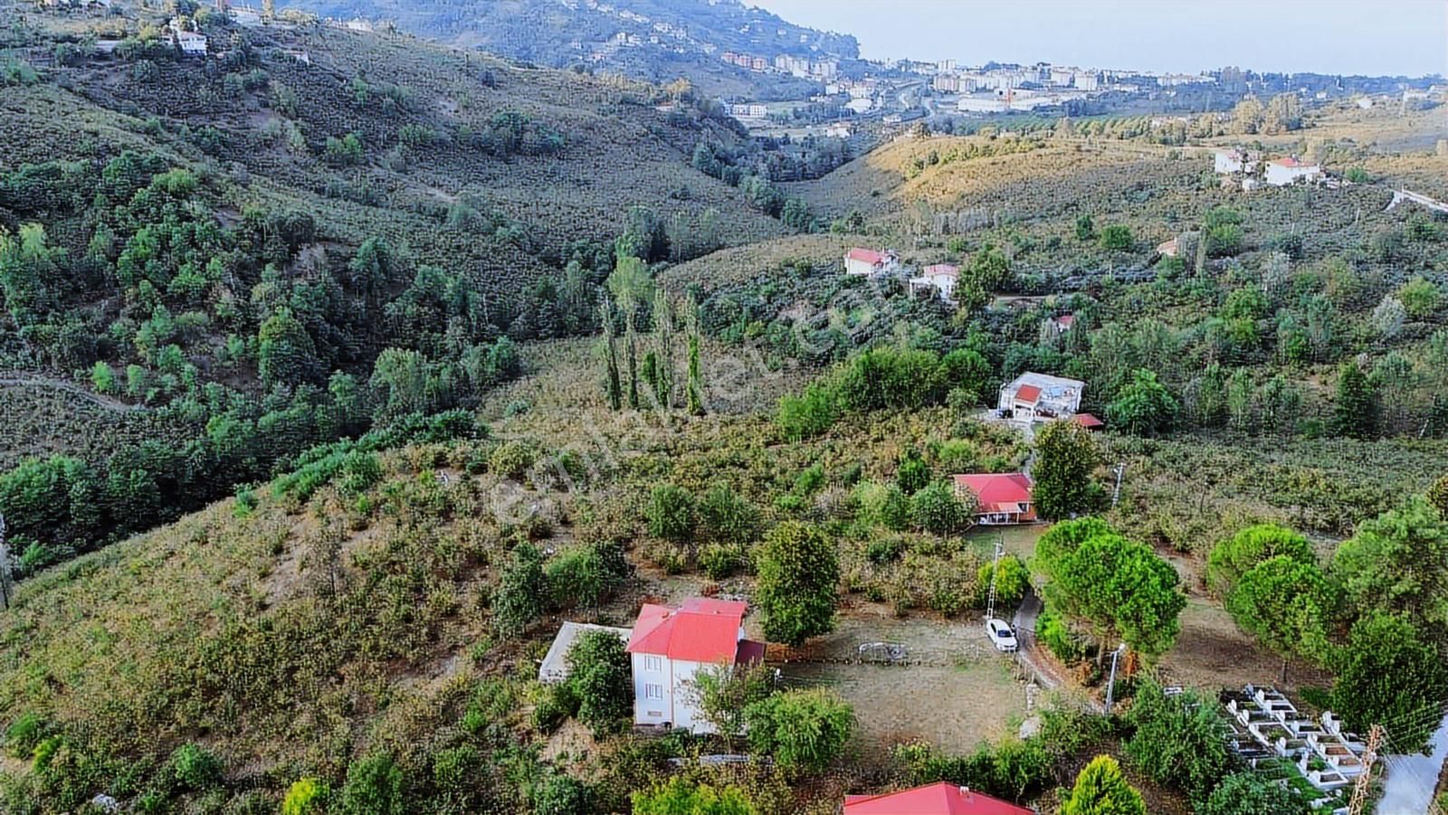 Ulu'dan Ordu Perşembe Efirlide Deniz Manzaralı Satılık Bahçe - Görsel 16