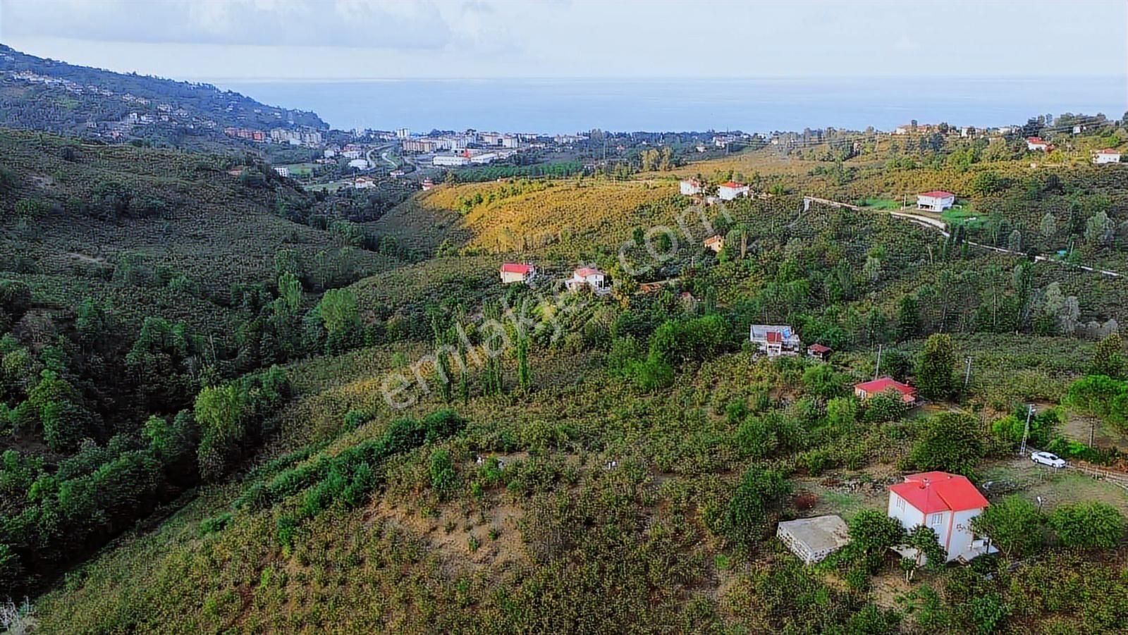 Ulu'dan Ordu Perşembe Efirlide Deniz Manzaralı Satılık Bahçe - Görsel 4
