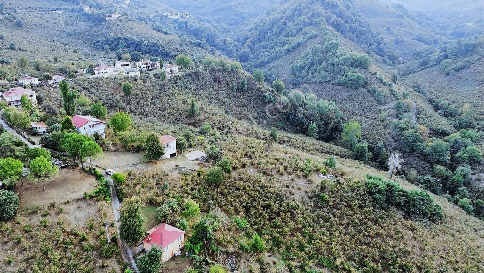 Ulu'dan Ordu Perşembe Efirlide Deniz Manzaralı Satılık Bahçe - Görsel 14