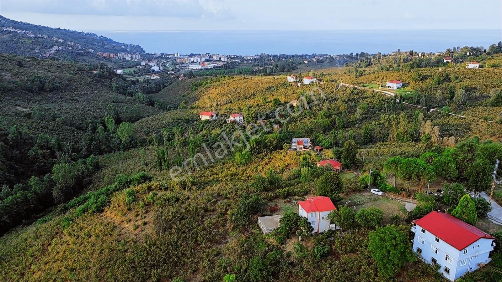 Ulu'dan Ordu Perşembe Efirlide Deniz Manzaralı Satılık Bahçe - Görsel 3