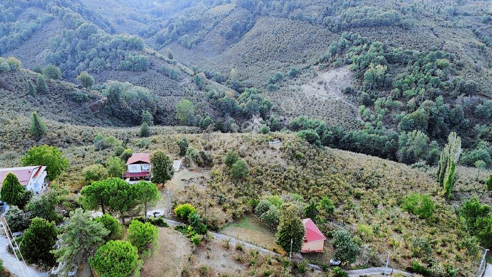 Ulu'dan Ordu Perşembe Efirlide Deniz Manzaralı Satılık Bahçe - Görsel 29