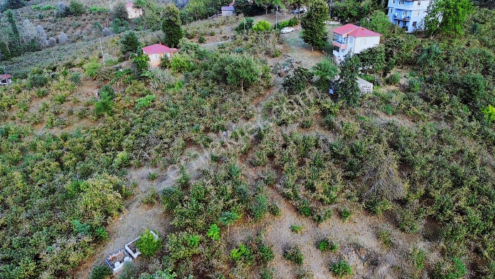 Ulu'dan Ordu Perşembe Efirlide Deniz Manzaralı Satılık Bahçe - Görsel 25