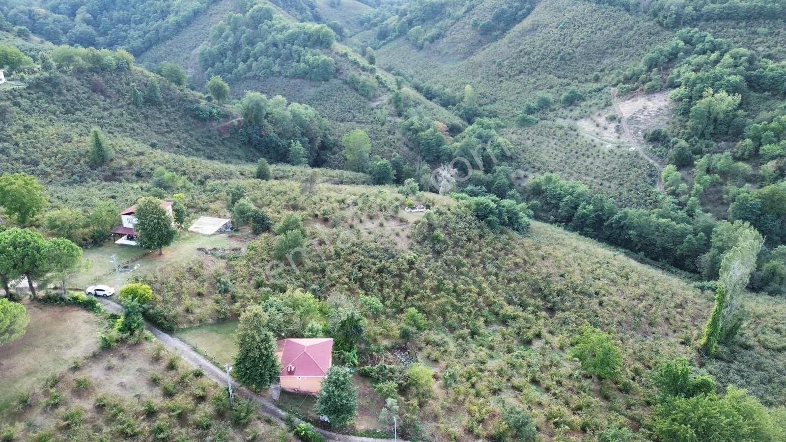 Ulu'dan Ordu Perşembe Efirlide Deniz Manzaralı Satılık Bahçe - Görsel 35
