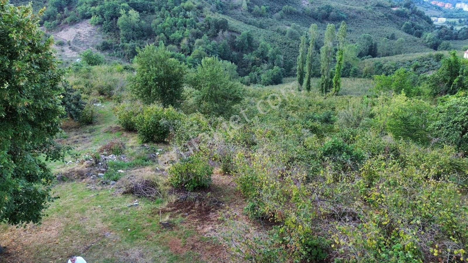 Ulu'dan Ordu Perşembe Efirlide Deniz Manzaralı Satılık Bahçe - Görsel 18
