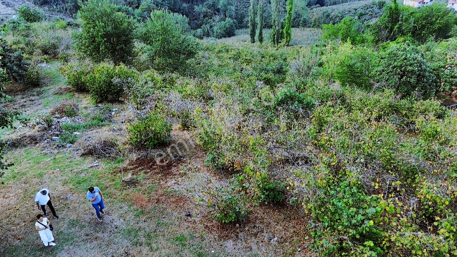 Ulu'dan Ordu Perşembe Efirlide Deniz Manzaralı Satılık Bahçe - Görsel 19