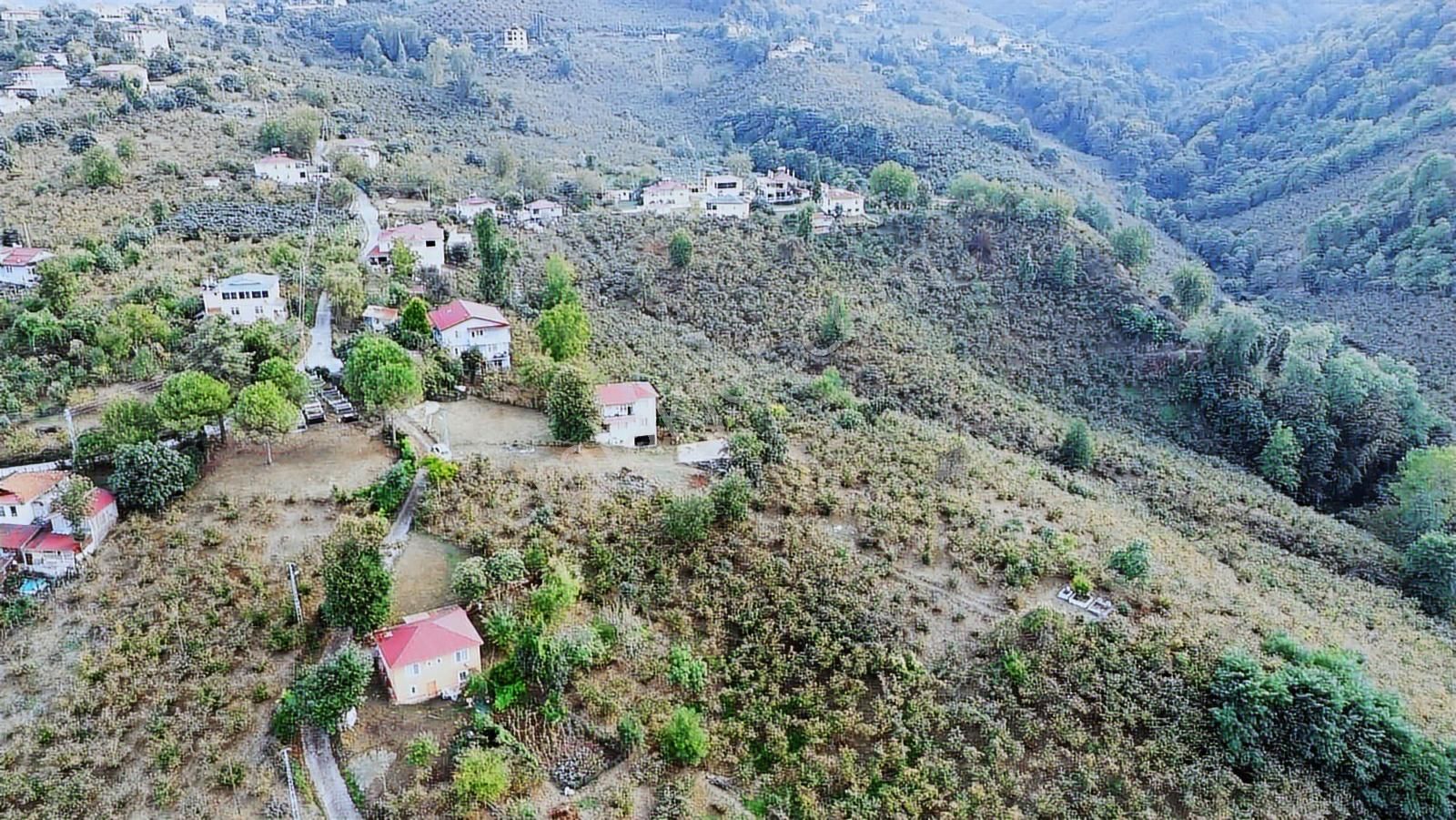 Ulu'dan Ordu Perşembe Efirlide Deniz Manzaralı Satılık Bahçe - Görsel 30